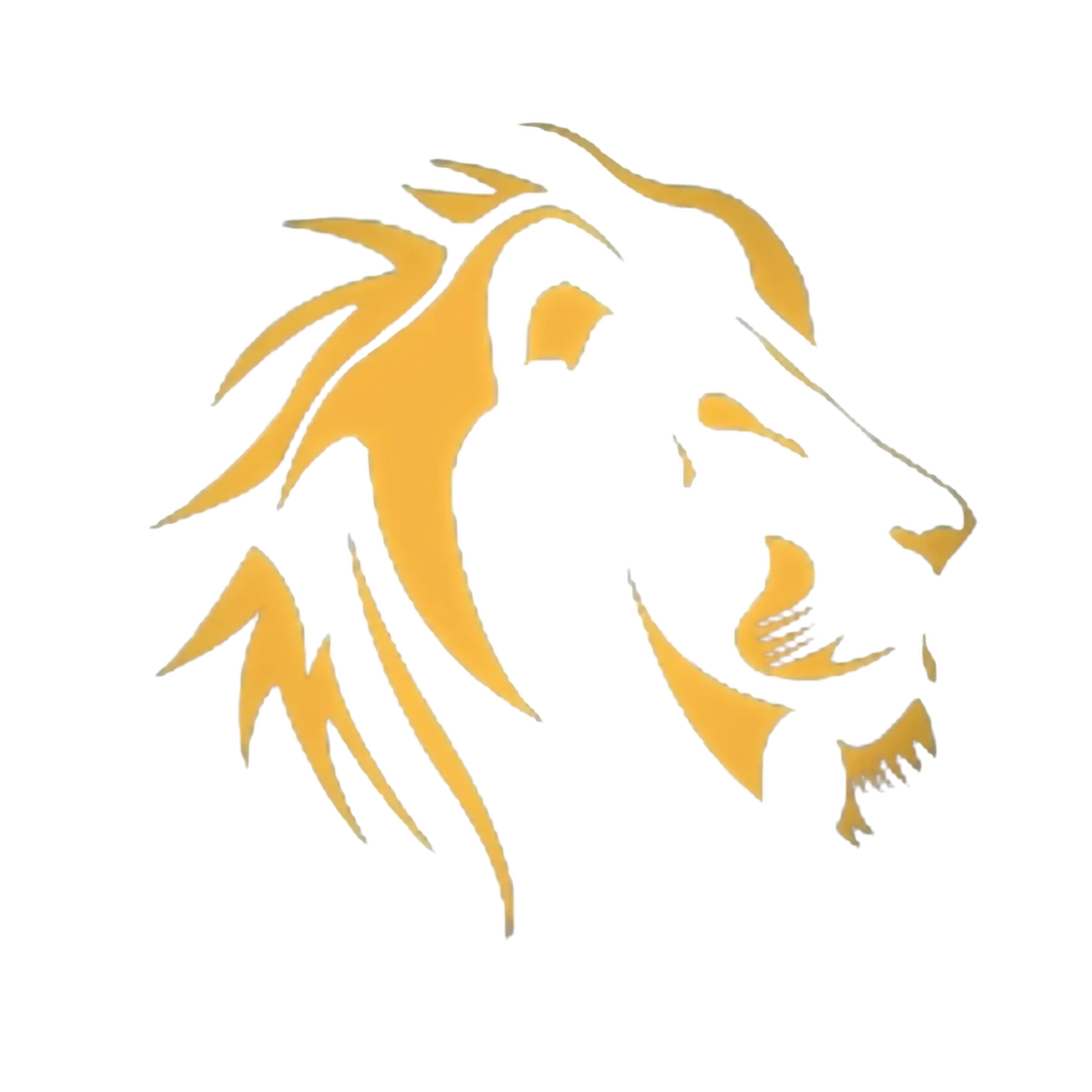 AZERBOSS® | Events | Agence de Growth Marketing : Bars,Clubs,Festivals